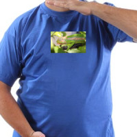 Chameleon majica