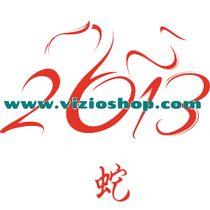 2013 Godina Zmije
