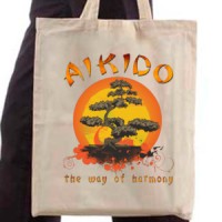  Aikido Harmony