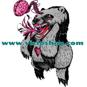Brain bear