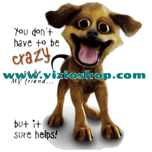 Crazy dog