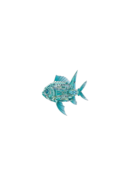 Mehanic fish