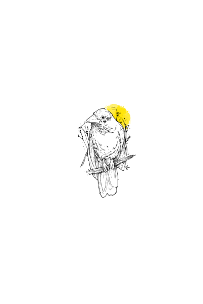 Ptica