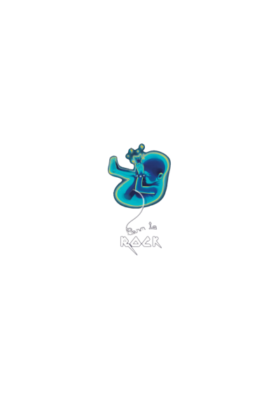Born to rock