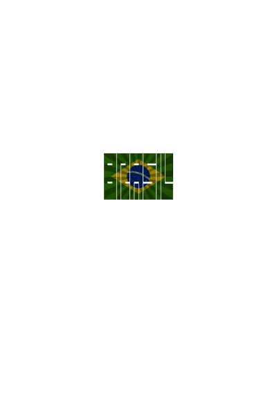 Brasil Flag