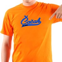  Čačak