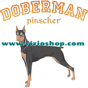 Doberman Pincher
