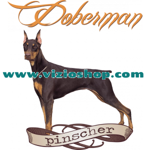 Doberman Pinscher