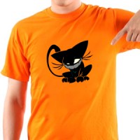  Evil kitty