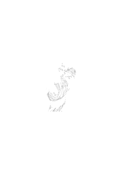Jad
