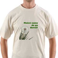  Maslačak možeš da ga duvaš