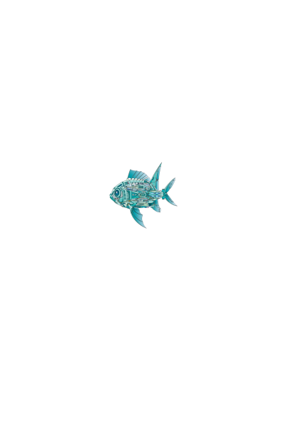 Mehanic fish