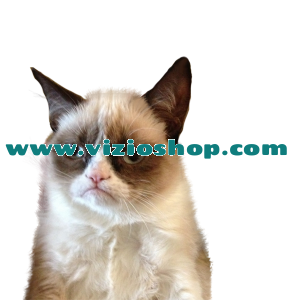 Mrzovoljna mačka - Grumpy cat