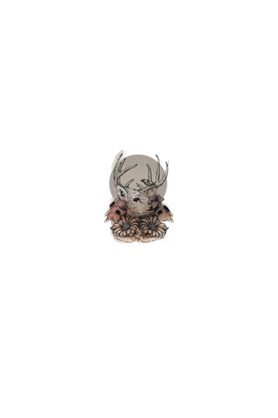 Priroda 2