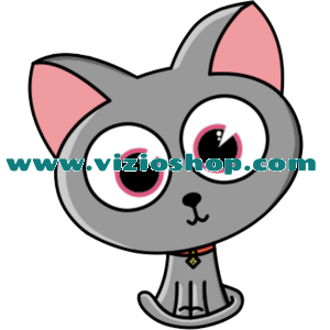 The cute little kitty