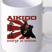 Šolja Aikido