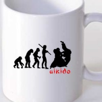 Šolja Aikido Evolucija