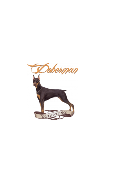 Doberman Pinscher