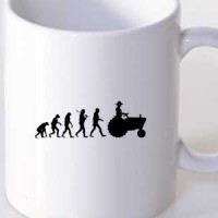  Farm evolution