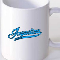  Jagodina