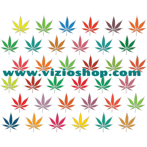 Marijuana Leaves