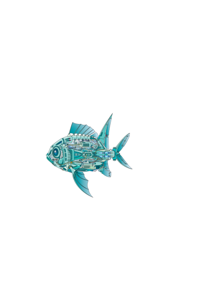 Mehanic fish