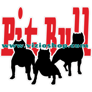 Pit Bull