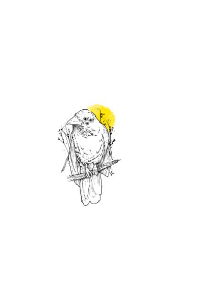 Ptica