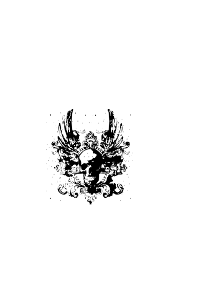 Skull with wings