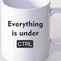 Mug Everything is under CTRL