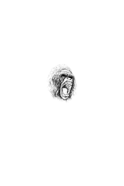 Gorilla Sketch