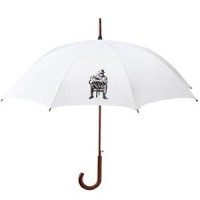 Umbrella Bluesman