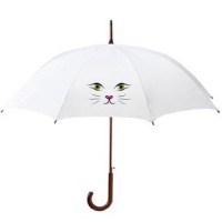 Umbrella Cat